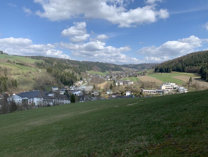 Blick auf das im Tal liegende Ludwigsstadt. In den Wäldern am Hang sind viele vom Borkenkäfer befallene Flächen zu erkennen
