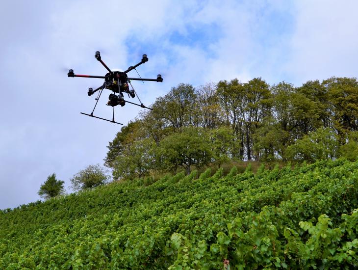 Trockenstressbestimmung der Weinreben mittels Drohneneinsatz © Bayerische Landesanstalt für Weinbau und Gartenbau